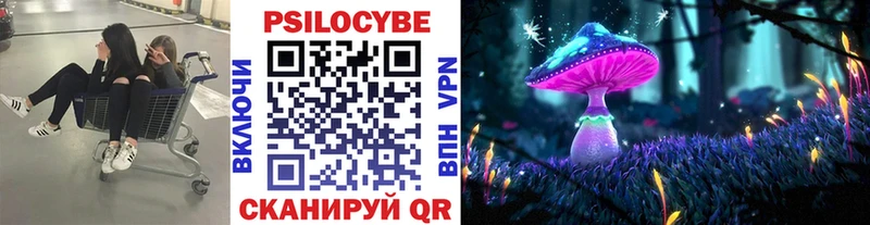 мега ССЫЛКА  Бабаево  Псилоцибиновые грибы Psilocybine cubensis 